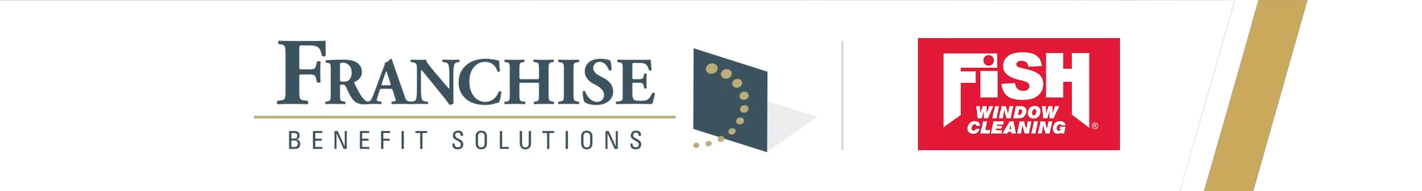 FBS-Fish Window Cleaning